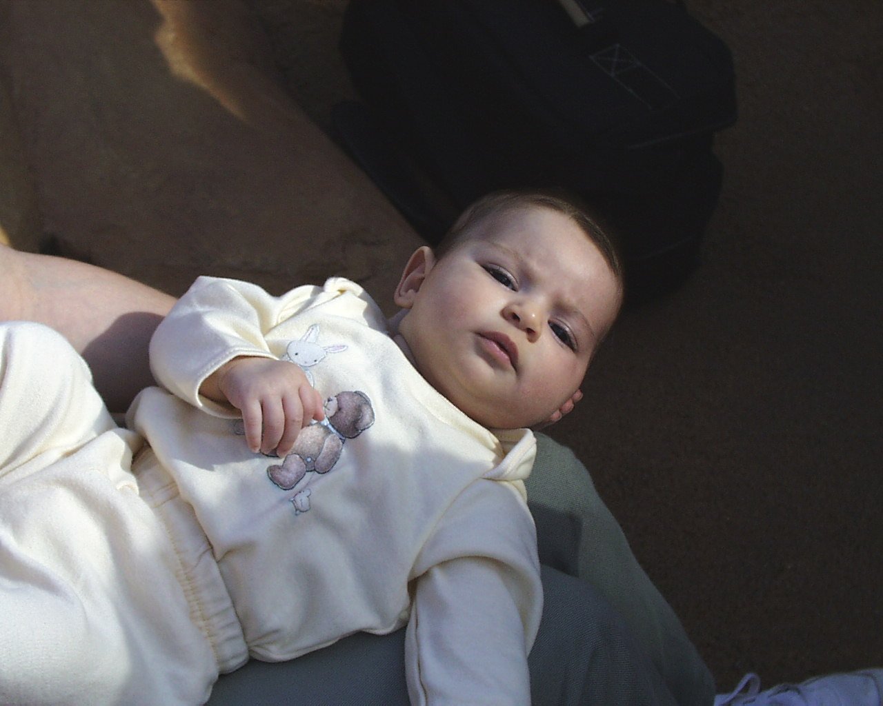 gal30.jpg (141636 bytes)